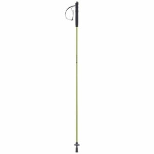 Bâton Trekking Ferrino Jet 110 cm Vert