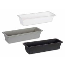 Range-couverts Kinvara CN18819 Blanc Noir Caoutchouc polypropylène 8,5 x 5 x 24 cm (36 Unités)