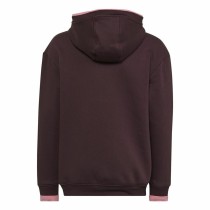 Sweat à capuche unisex Adidas All Szn Marron