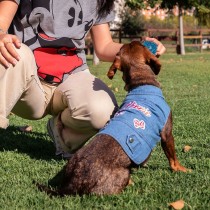 Dog coat Minnie Mouse Blue M