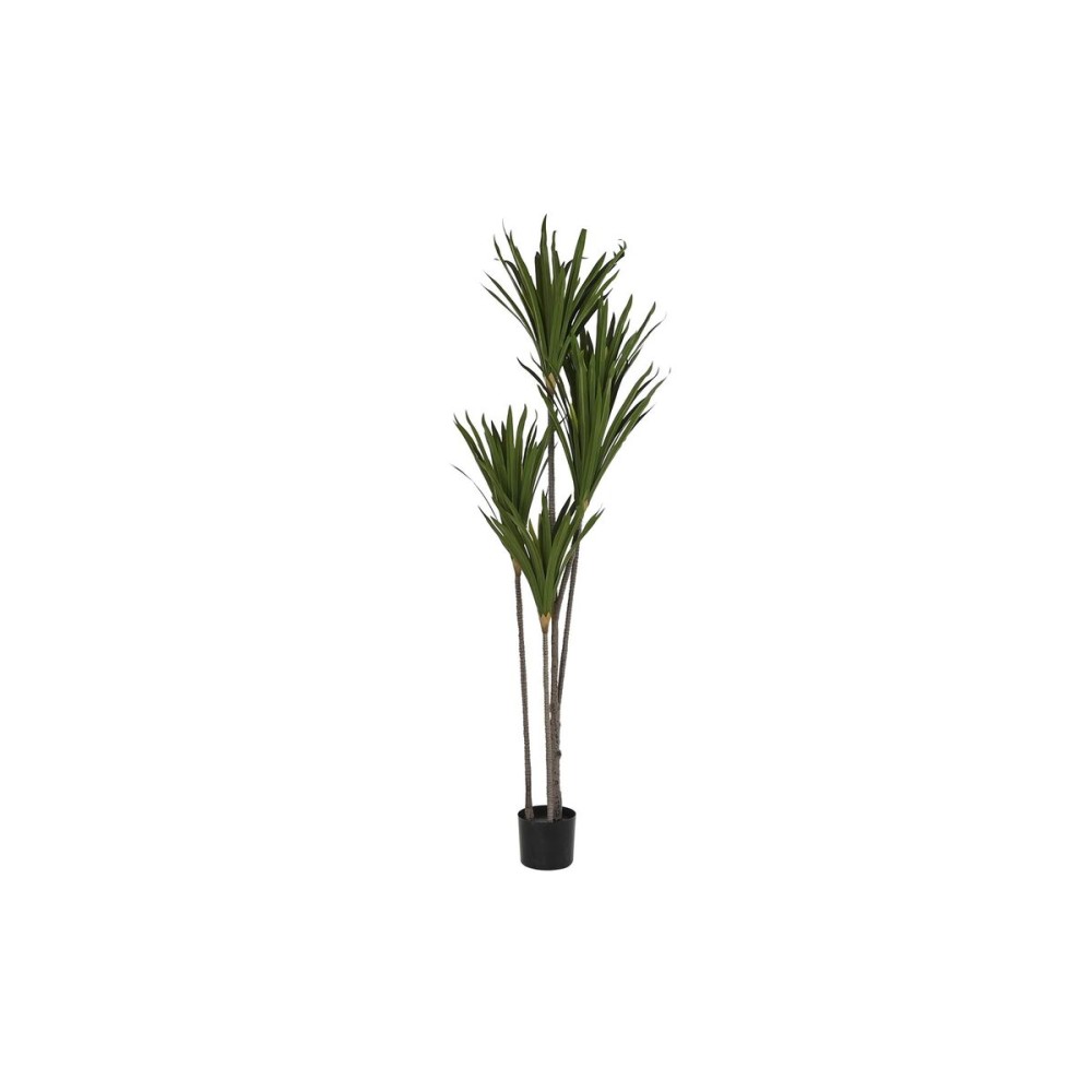 Decorative Plant DKD Home Decor (80 x 80 x 180 cm)