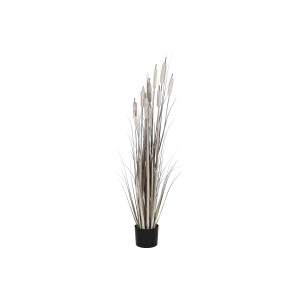 Decorative Plant DKD Home Decor Rushes (35 x 35 x 120 cm)