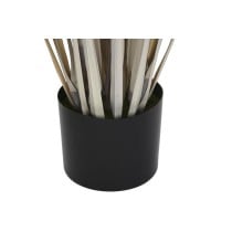 Plante décorative DKD Home Decor Joncs (35 x 35 x 120 cm)