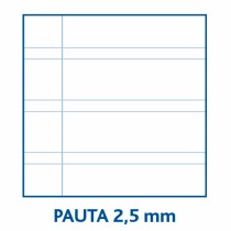 Notizbuch Centauro Din A4 80 Blatt (10 Stück)