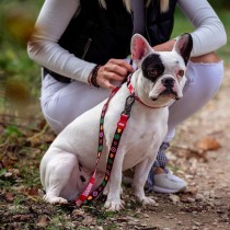 Laisse pour Chien Marvel Rouge