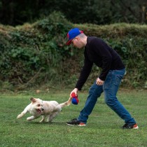 Hundespielzeug Spider-Man Rot