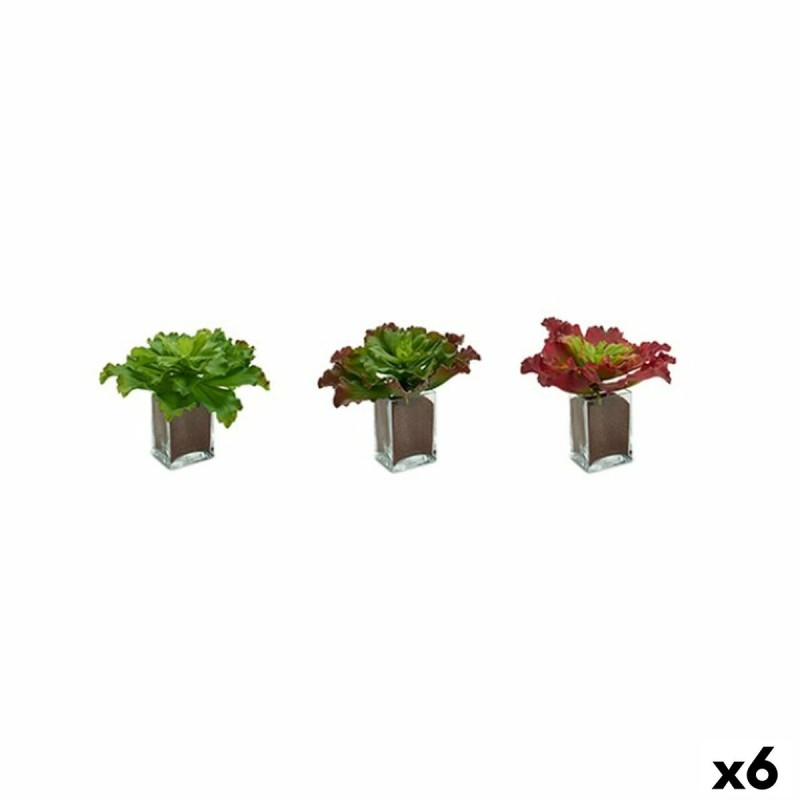 Plante décorative Ibergarden YD180208 Plastique Volets Grand 31 x 24 x 31 cm Bicolore (6 Unités)