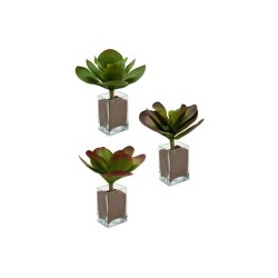 Plante décorative Volets Grand Bicolore Plastique 27 x 29 x 27 cm (6 Unités)