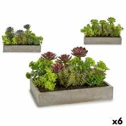 Plante décorative Ibergarden XD18-1220 Plastique Ciment Succulent 16,5 x 20 x 28,5 cm (6 Unités)