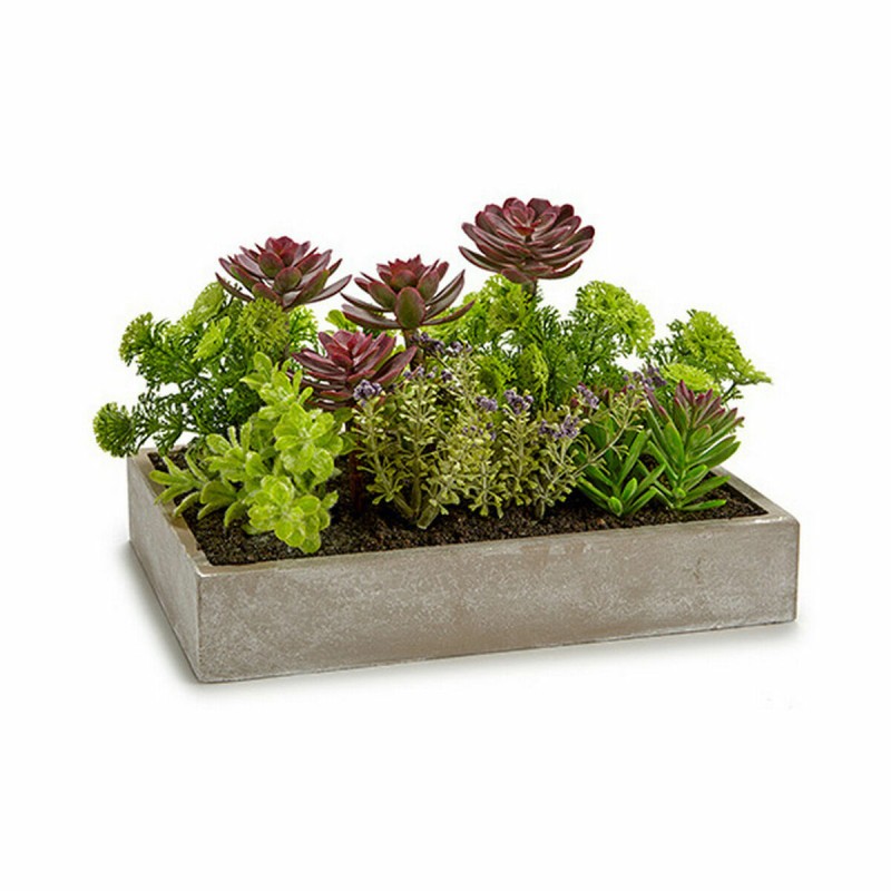 Plante décorative Ibergarden XD18-1220 Plastique Ciment Succulent 16,5 x 20 x 28,5 cm (6 Unités)