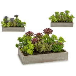 Decorative Plant Ibergarden XD18-1220 Plastic Cement Succulent 16,5 x 20 x 28,5 cm (6 Units)