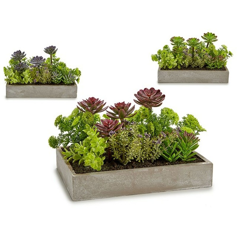 Plante décorative Ibergarden XD18-1220 Plastique Ciment Succulent 16,5 x 20 x 28,5 cm (6 Unités)