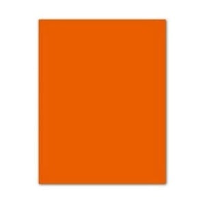 Pappe Iris Orangerot 50 x 65 cm