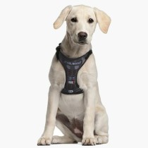 Dog Harness Star Wars Black XXS