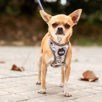 Dog Harness Disney Grey