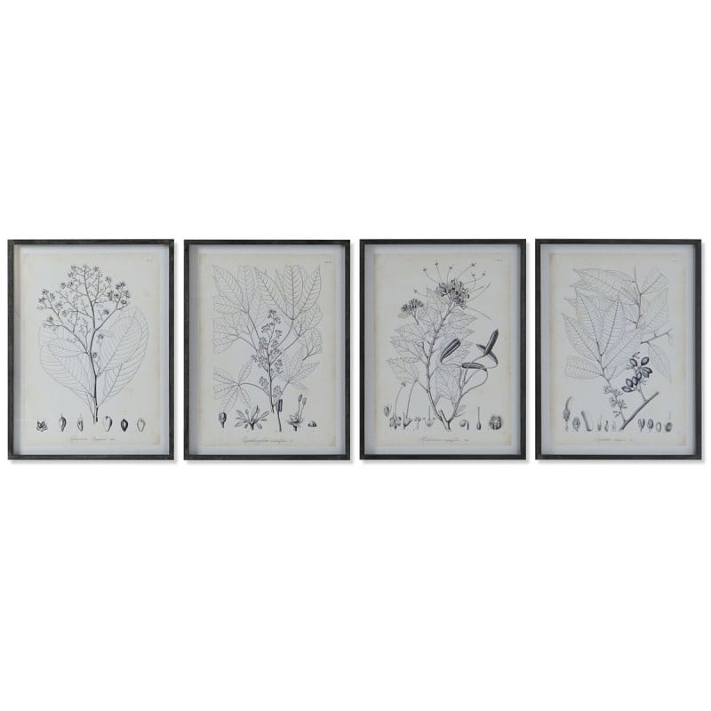 Bild DKD Home Decor Moderne Botanische Pflanzen 45 x 2,5 x 60 cm (4 Stück)