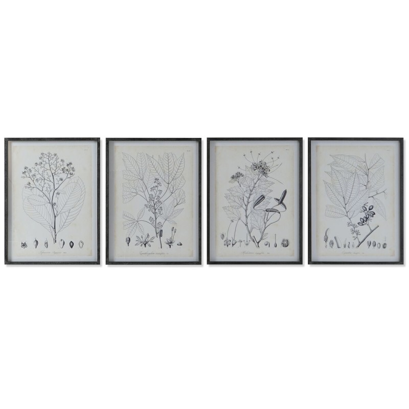 Painting DKD Home Decor Modern Botanical plants 45 x 2,5 x 60 cm (4 Units)