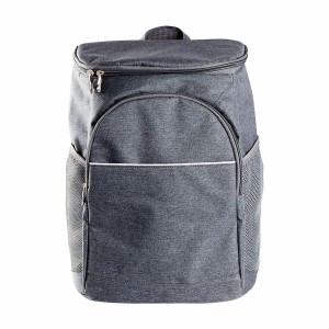 Sac à dos Réfrigérateur Cool Gris 5 kg 26 x 19,5 x 37 cm