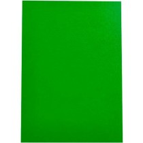 Binding covers Displast Green A4 polypropylene 50 Pieces