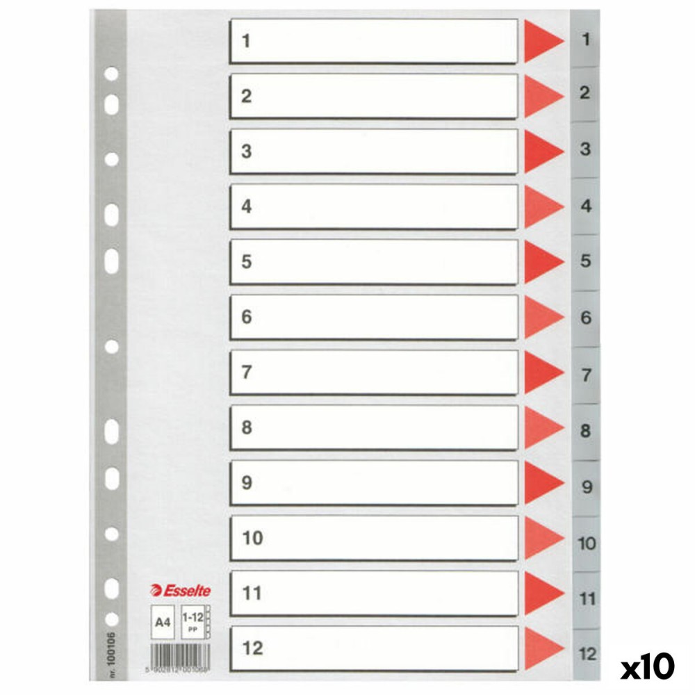 Distanzstücke Esselte Grau A4 12 Blatt Nummeriert (10 Stück)