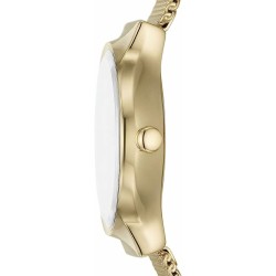 Montre Femme Skagen SKW3084