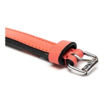 Hundehalsband Gloria Polsterung Koralle 40 cm (40 x 2 cm)