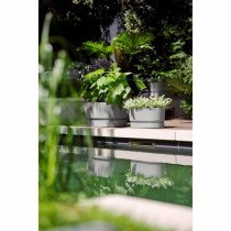 Jardinière Elho   Gris 60 cm Plastique