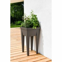 Planter EDA   Vegetables Seed tray 38,5 x 38,5 x 68 cm