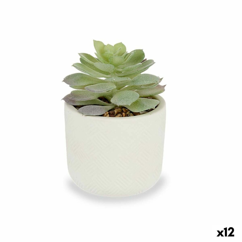 Plante décorative Ibergarden QY-H037 Plastique Succulent 14 x 13,5 x 14 cm (12 Unités)