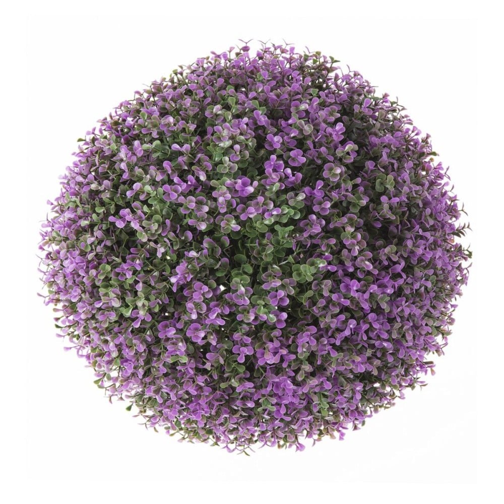 Dekorationspflanze   Bold Lavendel 30 x 30 x 30 cm