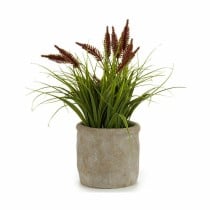 Plante décorative Ibergarden XD171059 Plastique Epis 12 x 30 x 12 cm (8 Unités)