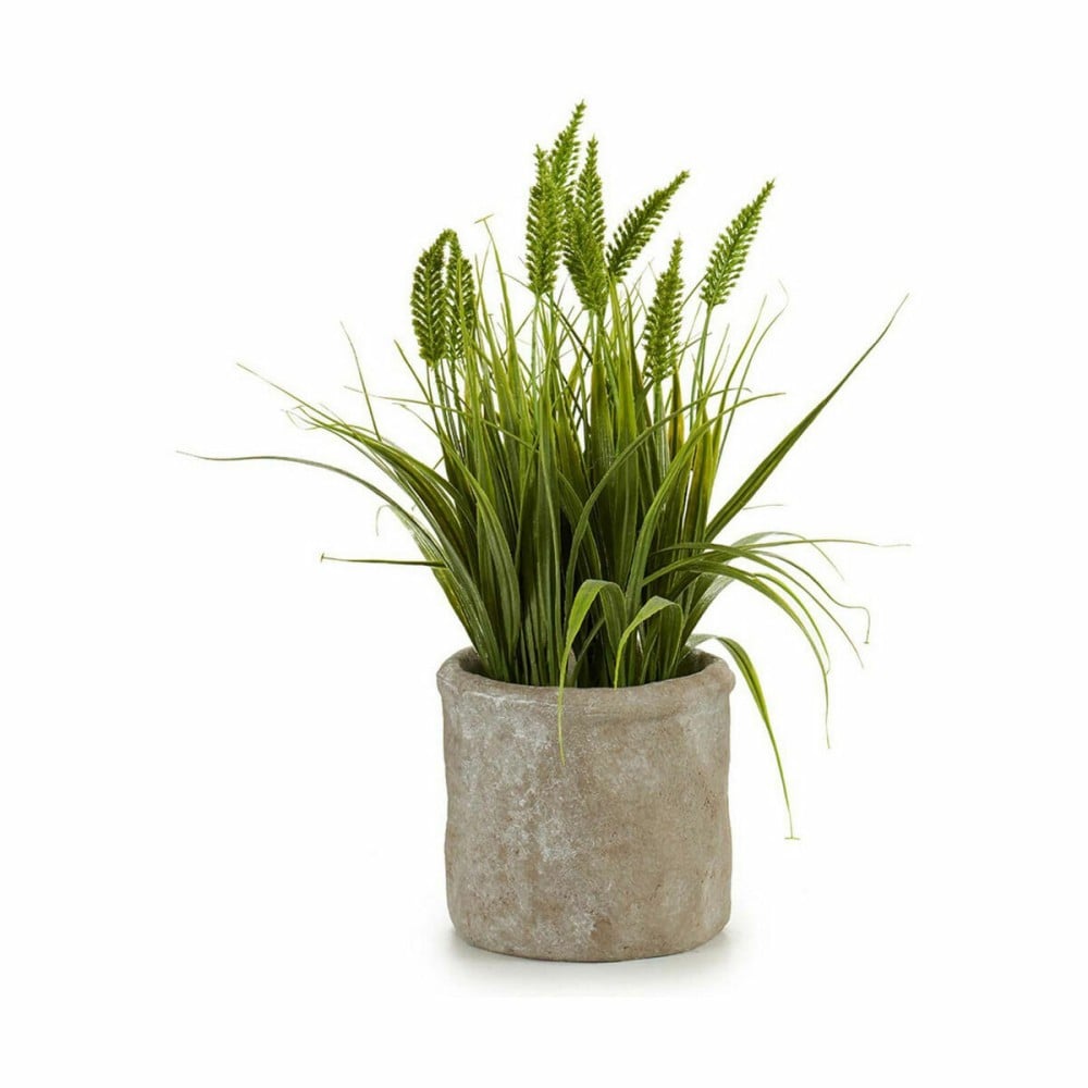 Plante décorative Ibergarden XD171059 Plastique Epis 12 x 30 x 12 cm (8 Unités)