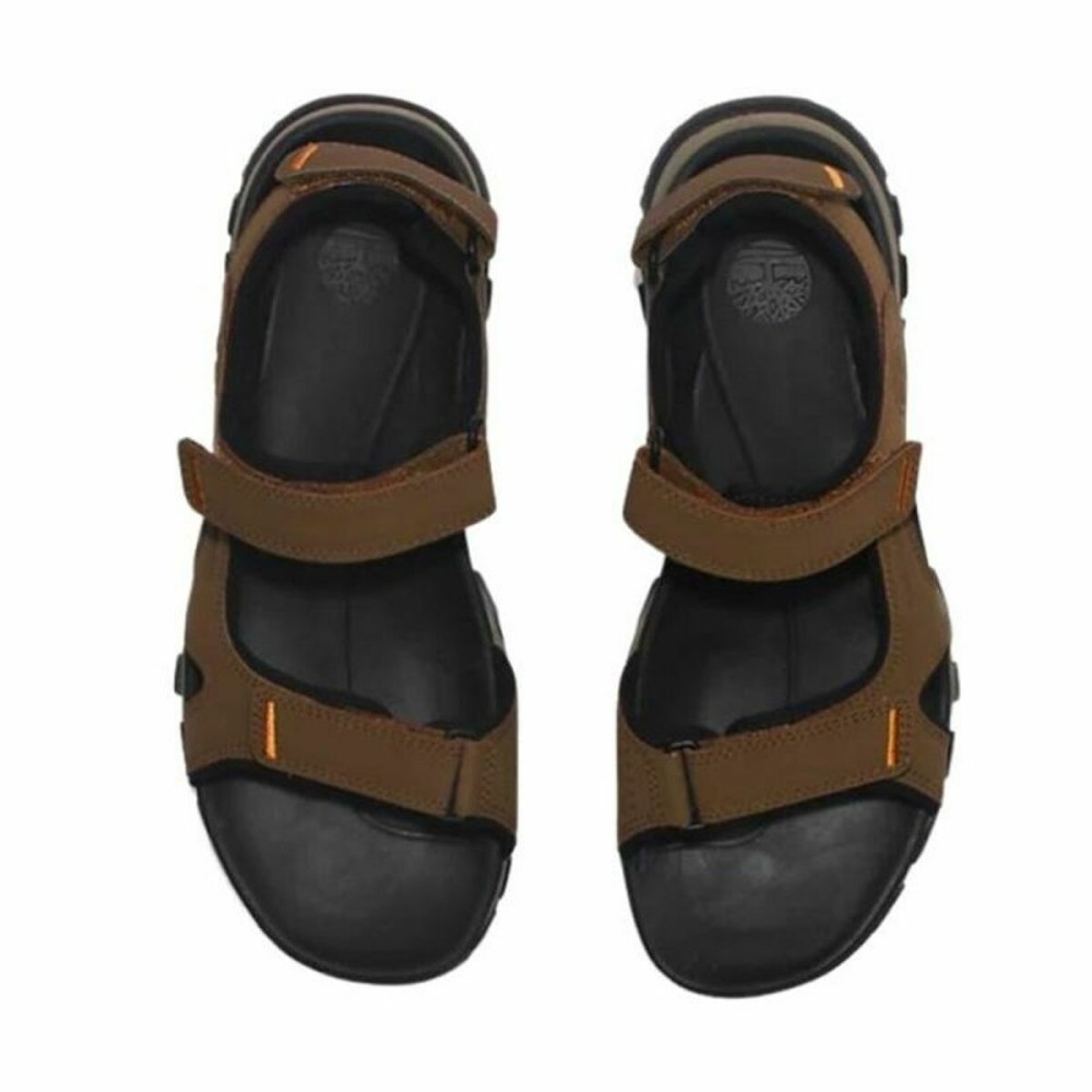 Sandalen für die Berge Timberland Winsor Trail Braun