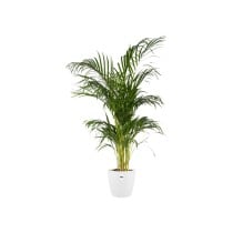 Plant pot Elho White Plastic Circular