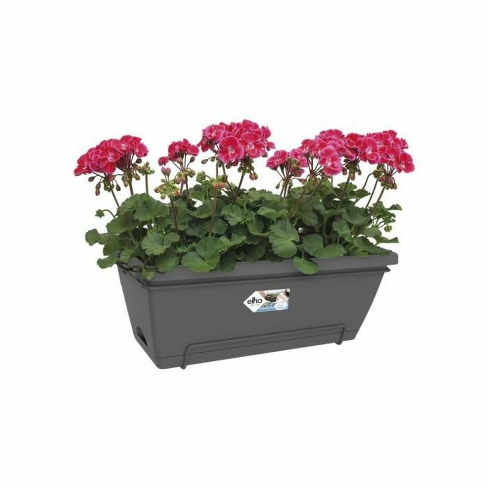 Plant pot Elho barcelona xl allin1 55cm Black Anthracite polypropylene Plastic Rectangular 33,5 x 54,5 x 23 cm