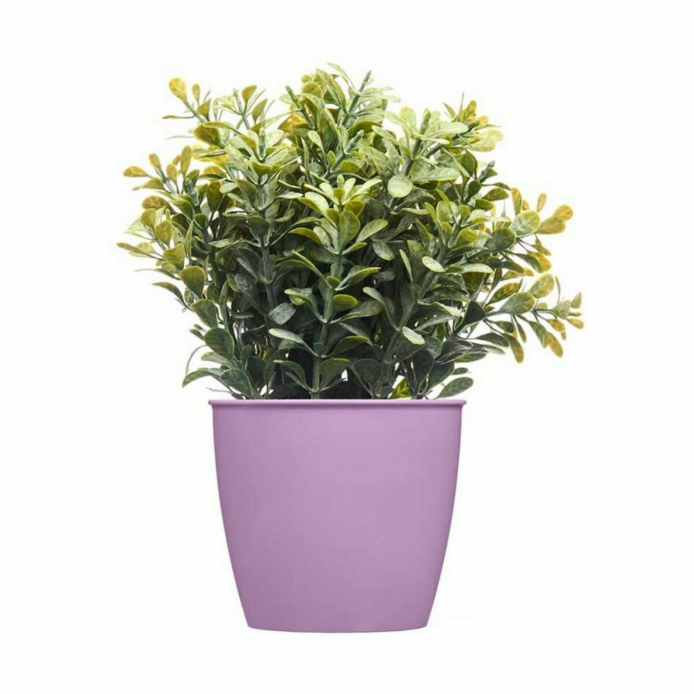 Planter Stefanplast Academy Plastic 11,3 x 10 x 11,3 cm (60 Units)