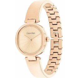 Ladies' Watch Calvin Klein 25200308