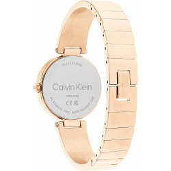 Damenuhr Calvin Klein 25200308