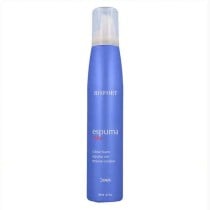 Farbschaum Risfort Espuma Color Aschgrau (200 ml)