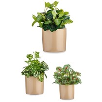 Set de pots Ibergarden CILINDRO-1019 Beige Argile Cylindre Ø 14 cm Ø 22 cm Ø 17 cm 3 Pièces