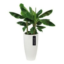 Plant pot Elho White Circular