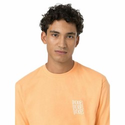 Kurzarm-T-Shirt Dickies Creswell Orange Herren