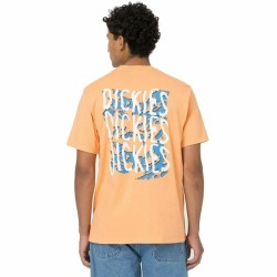 Kurzarm-T-Shirt Dickies Creswell Orange Herren