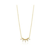 Collier Femme Ania Haie N018-03G 40 cm