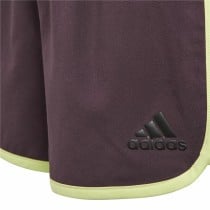 Sport Shorts Adidas Training Marathon Dunkelrot