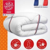 Duvet DODO Champs de Lin White 450 g/m² 200 x 200 cm