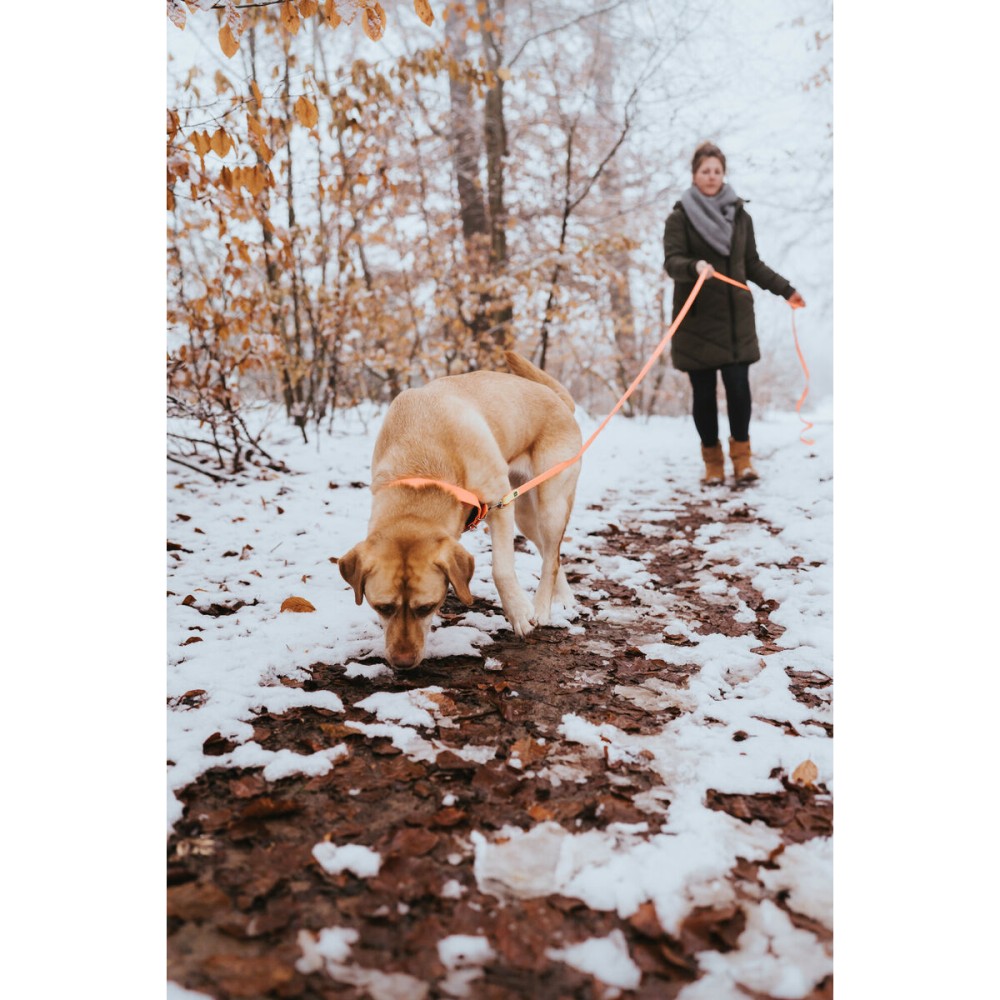 Collier pour Chien Hunter Convenience 47-55 cm L Orange