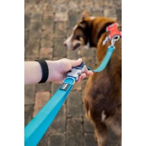 Dog Lead Red Dingo Blue