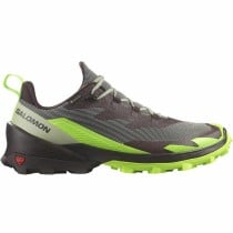 Herren-Sportschuhe Salomon Cross Over 2 Gore-Tex Zitronengrün