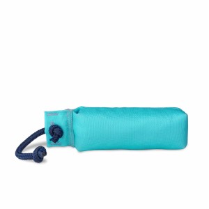 Training toy Coachi TRAINING DUMMY Blue